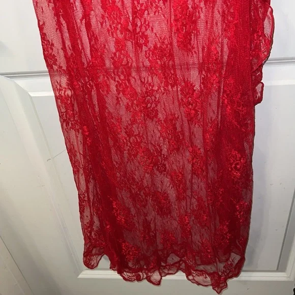 Frederick’s of Hollywood Lace dress - Picture 5 of 10